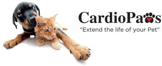 CardioPaws