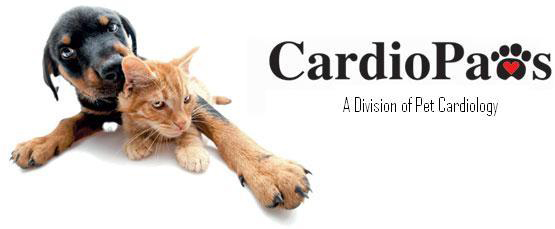 CardioPaws - A Division of Pet Cardiology